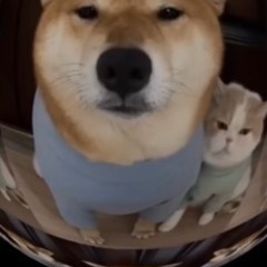 川崎　平日　夜友達募集