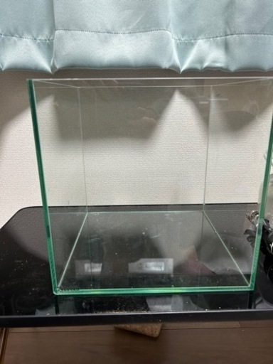 水槽　熱帯魚　【金額は要相談】