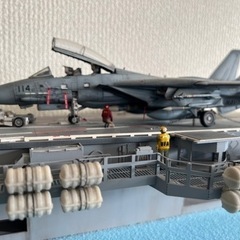 プラモデル 完成品 1/72 F14a トムキャット (ファイン...