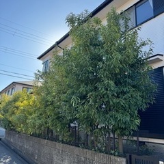 ⭐︎町の便利屋さん⭐︎ - 不用品処分