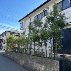 ⭐︎町の便利屋さん⭐︎ − 和歌山県