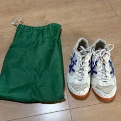 鳴門教育大学附属中学校　体育館シューズ24センチ