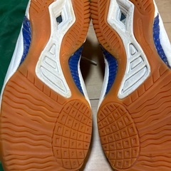 鳴門教育大学附属中学校　体育館シューズ24センチの画像