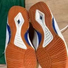 鳴門教育大学附属中学校　体育館シューズ24センチの画像