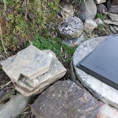 庭石の画像