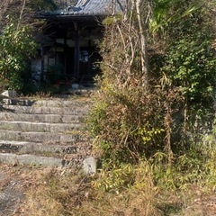 廃寺の復活 - 手伝って/助けて