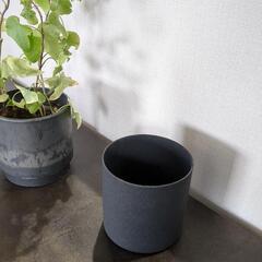 ミニ鉢 直径 8cmの画像