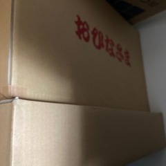 おひなさまセット　ひな祭り　雛人形 ひな人形