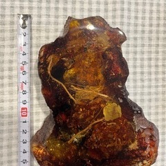 アンバー　虫付き　パワーストーンの画像