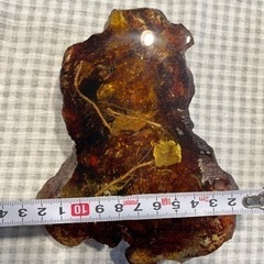 アンバー　虫付き　パワーストーンの画像
