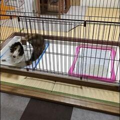 ペット用ゲージ　中型大型犬用