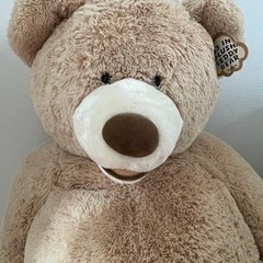 コストコ くまの画像
