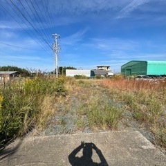 お庭や管理地の草刈り、お任せください。