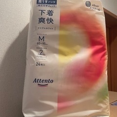 大人用紙パンツ　Mサイズ24枚入り