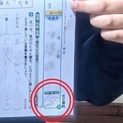 【学習支援】プロ講師/マンツーマン指導/学習の遅れ対策/オンライン可/小中の画像