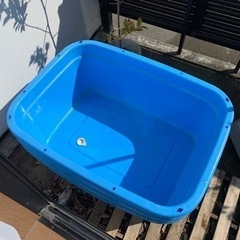 【めだか・睡蓮飼育に】120㍑タライ