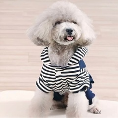 ④犬猫  お洋服 M の画像