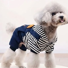 ④犬猫  お洋服 M の画像