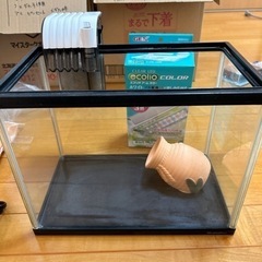 【破格】メダカ飼育セット