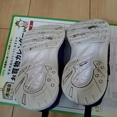上靴 運動靴 瞬足 17センチの画像