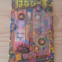 【3/1まで】手持ち花火