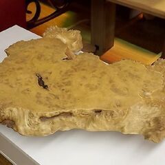 瘤材 瘤杢 瘤板 天然木 樺 白樺 楡 ニレ エルム 65cm×60cm