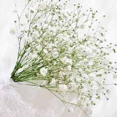 精神疾患持ちで自然や料理が好きな人