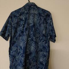 予約有りゴールデンベアーポロシャツの画像