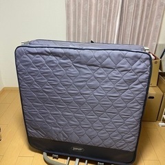 最終出品！！購入がなければ処分します！の画像