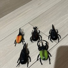 カブトムシ他色々 お譲り先決まりました。