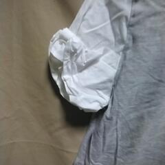 TシャツMサイズ？の画像