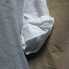TシャツMサイズ？の画像