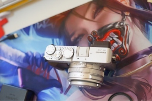 パナソニック　lumix lx100