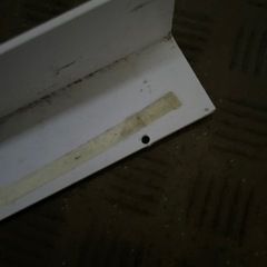 （廃棄済）ホワイトアングル　一本の画像