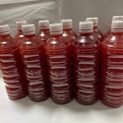 🌺PSB光合成細菌　500㎖
