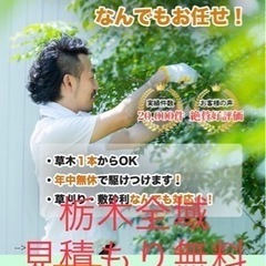 伐採・抜根・剪定　任せてください！お庭以外のお悩みも！