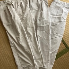 白のスラックス
