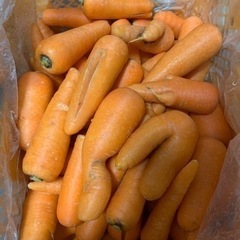 お野菜販売します♡