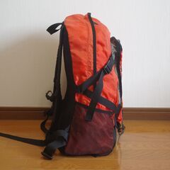 BEAR　リュックサック　他の品物と同時購入で無料に致の画像