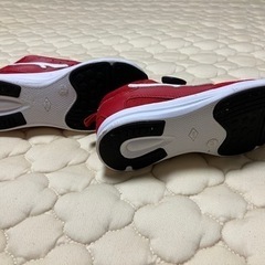 　CEDAR CREST シューズ　20cmの画像