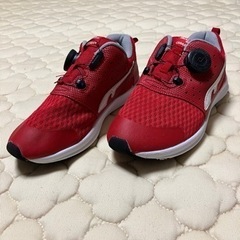 　CEDAR CREST シューズ　20cm