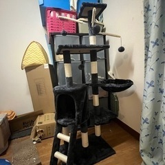 キャットタワー