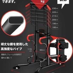 チンニングマシン 懸垂の画像