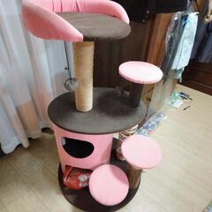 ペピイの猫用キャットタワーの画像