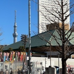相撲が好きな方 - 墨田区