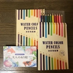 新品　水彩色鉛筆10色×2個　塗り絵付き