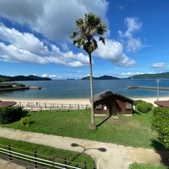 【キャンプメンバー募集🏕️】 − 山口県