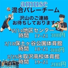 社会人バレーチーム