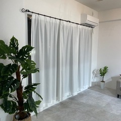 【洗濯済】アイリスプラザ 外から見えにくいレースカーテン 幅100×丈198cm(2枚組) UVカットの画像