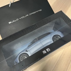 中国車　純正 BYD Build Your Dreams 海豹 ミニカーの画像